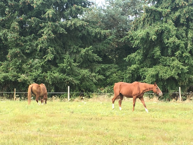 26CA700F-D878-4258-BD76-1C39FBA3886C