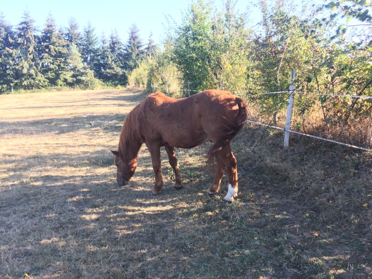 5F6939E8-EB72-43AB-ABA6-921FE00FDA57