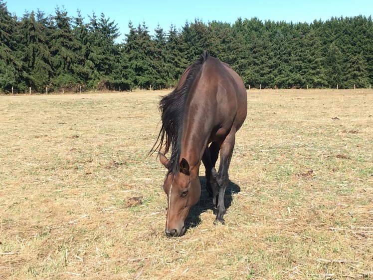 63027FB0-8332-43EE-A039-5541F697EF29