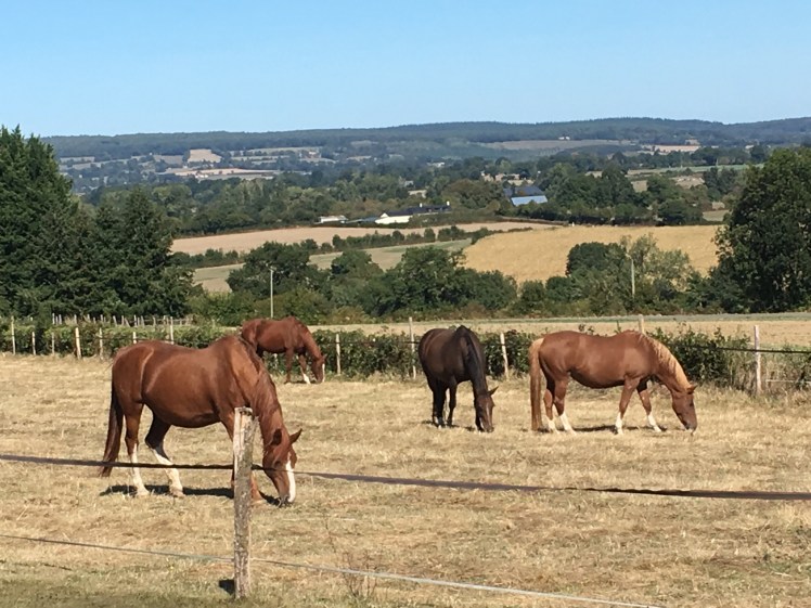 6DE87740-67C9-47CC-BCF6-44E3AF578D4D