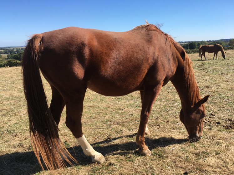 6E7607E9-DFCC-47A6-A407-660F78AAB3AB