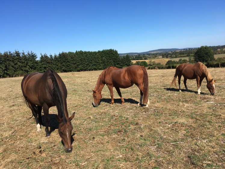 90556B0E-4DA8-42B3-B722-6A3AA4AD1B36