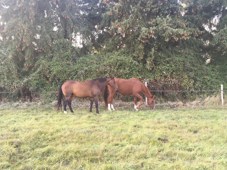 91361C00-21D5-4522-80F6-3235CB7599D6