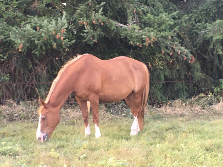 A52D99D5-5905-4943-887F-E81C12D76EF8