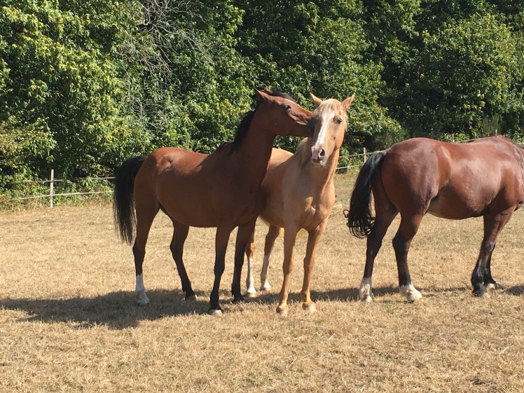 AA9DCA13-C44B-4155-A187-2B24C637840E