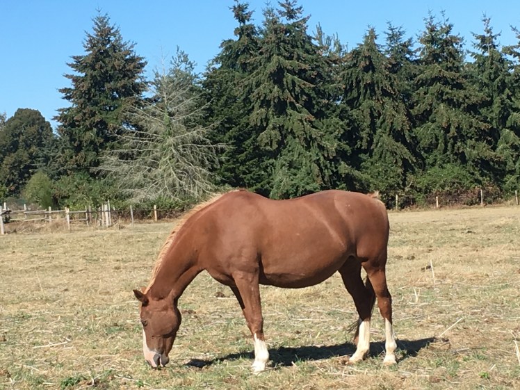 B03AA707-4270-49A9-817B-1FFE26B09D88