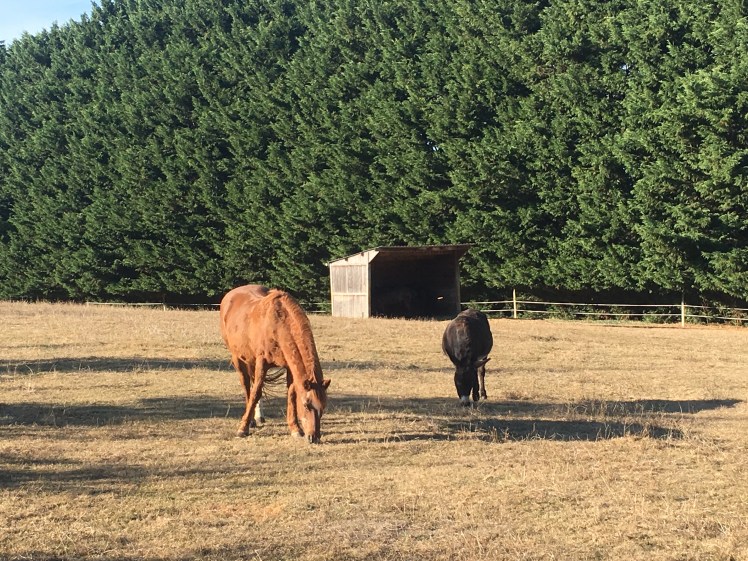 BB8B9282-18E3-4EAB-B5D6-941B6CB58419