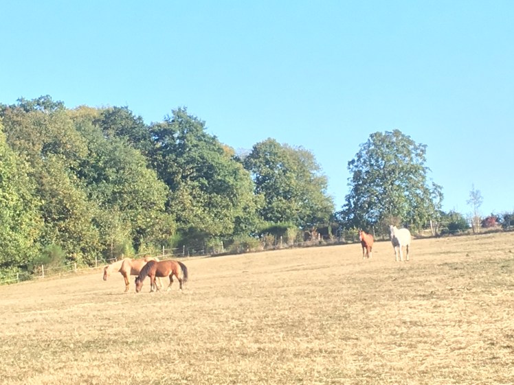 C9F3F867-F1B6-4366-A0BB-87DE6DD79828