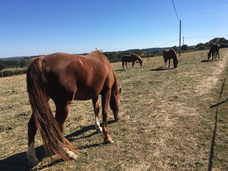 CFE1A767-50F2-44EB-82C8-0C9235B689D7