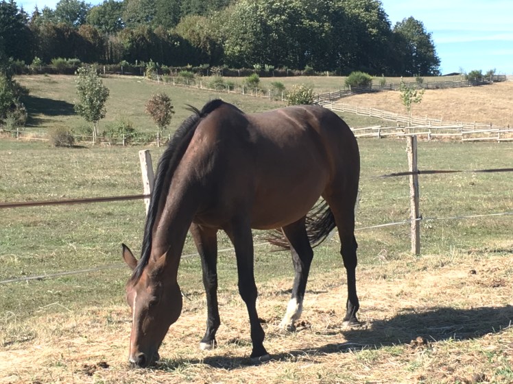 E8A69957-AA49-4EC7-BC4C-642EE28F7A32