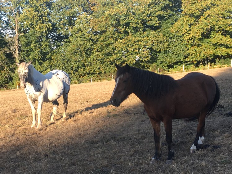 F1024F14-F1F4-4A97-A454-7CE39FDAC248