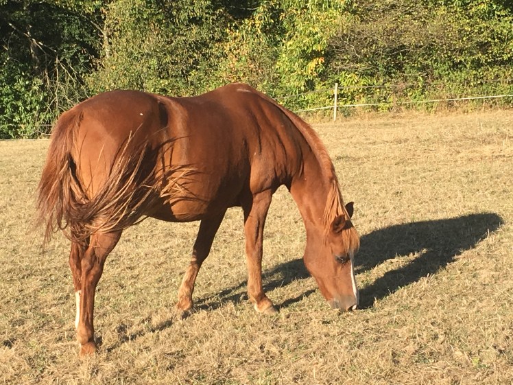 FFB9BE62-369D-4E6D-9997-E7B9FCFE1F51