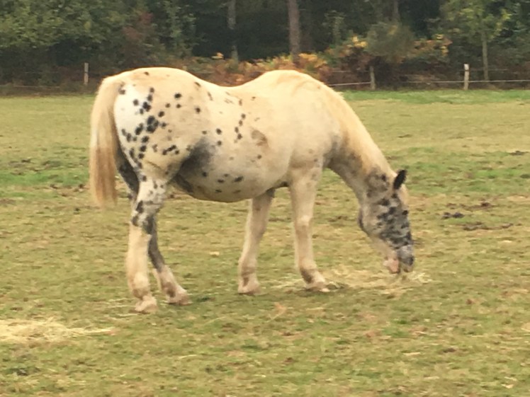 06ADE958-0344-4633-B0D4-86EA0242EC21