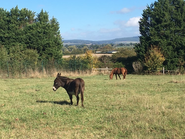 197A0DE9-45AA-4A84-88C9-B9E8A21C771E