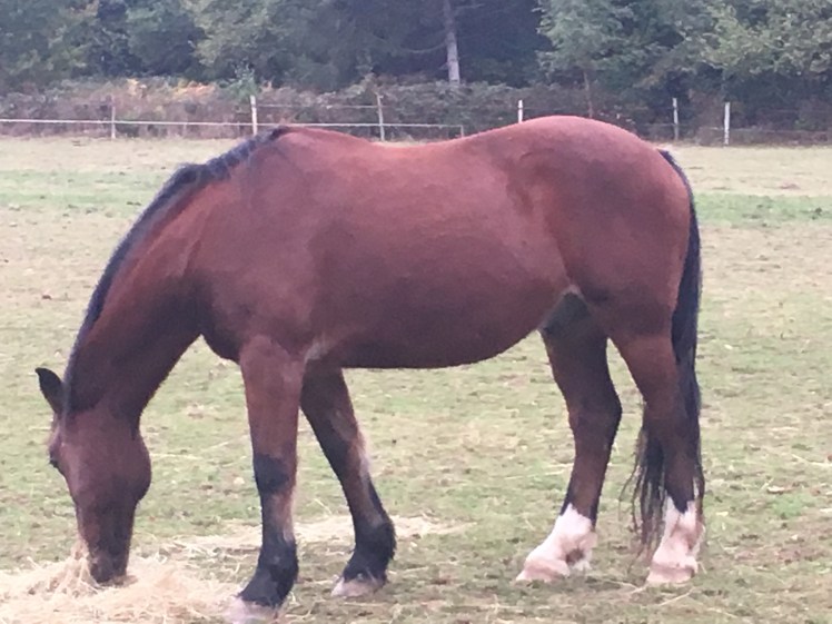 340D5B77-542A-4D78-B2A0-C3C940DE6520