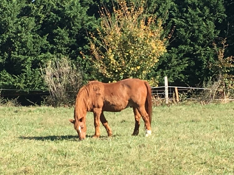 3A2BEFC9-7FAB-48BC-AEB3-BB80977AA986