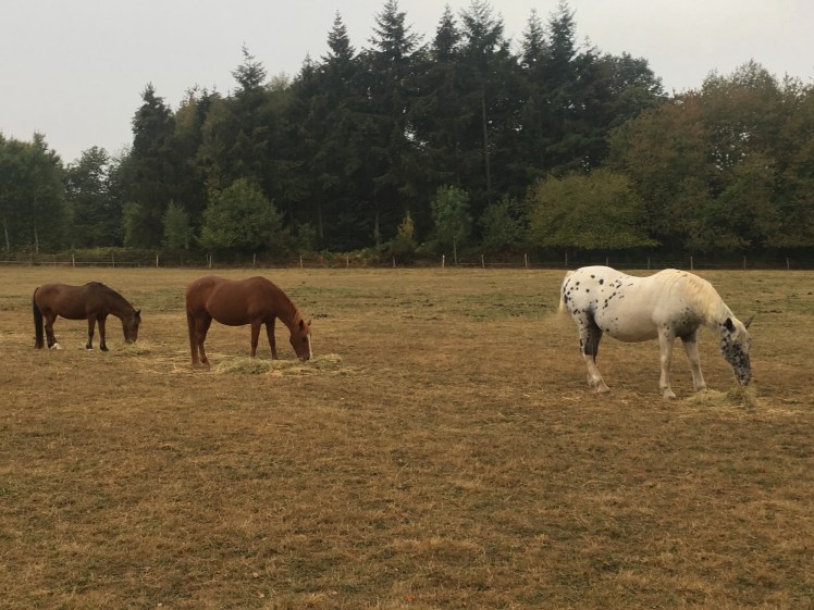 4BA41A1F-5561-48C7-9D53-D4EC9D29BDA8