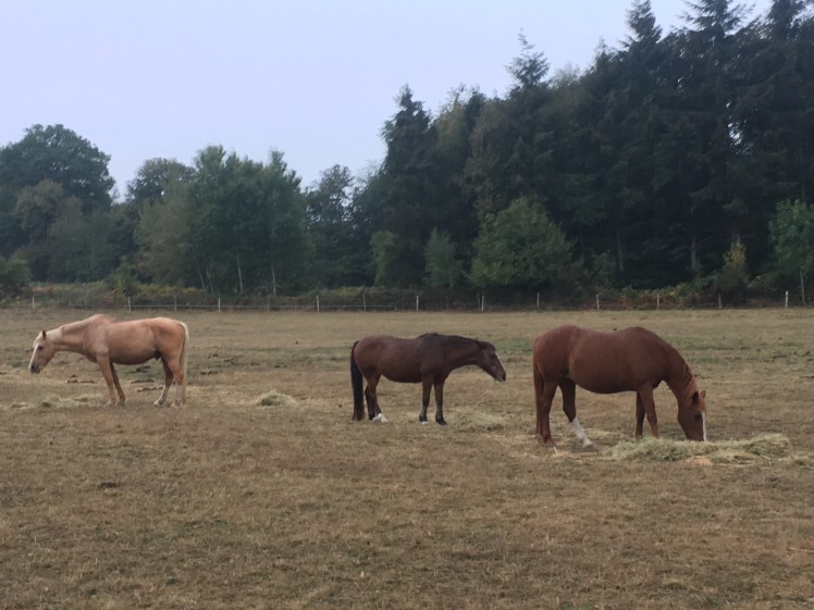 61E2379A-D6C3-4017-9B49-3E1403884620