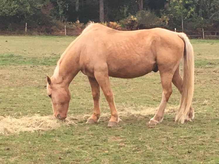 69E1BD39-A78A-43B1-9134-94A2BC11BB66