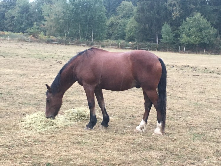 97E13F2D-99FC-48B0-9384-6329752A9171