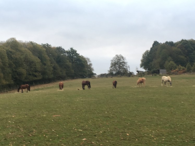 9BDBF7E0-4E8C-47E5-8E4C-A1527F979306