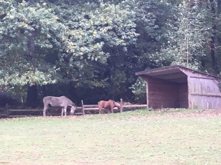 A7380AAF-E914-47B2-B4B1-AFDEDD055698