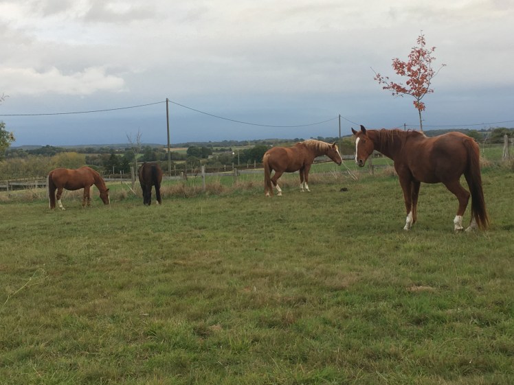 B4A17920-8BF2-47D4-B705-D87AE745ECFA