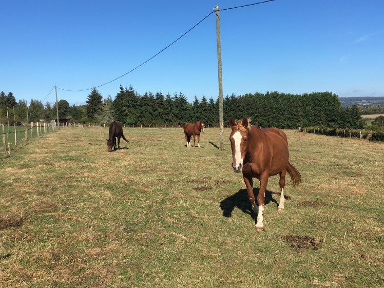 EFD5118F-171E-4FE7-B2E9-8B1FCE060313