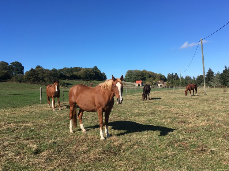 F5FDA209-C25C-49F8-B3E6-5F49A2BAE374