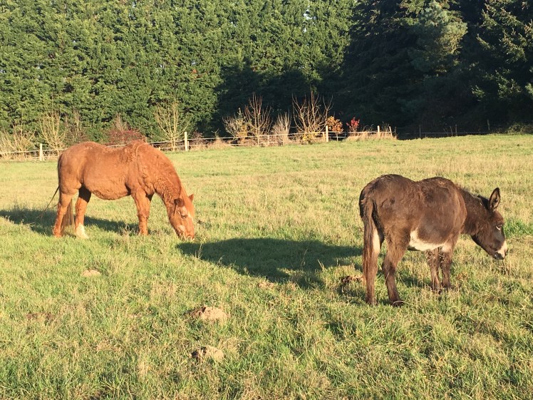 0A62D9C8-4680-40DC-88C4-1D8C8EF398D6