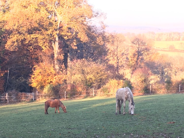 0D81EB98-480E-4CD0-BBA9-52B87E9B8726