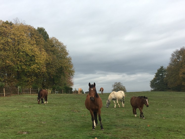 1124B068-E15B-4894-8452-C440A7E15924