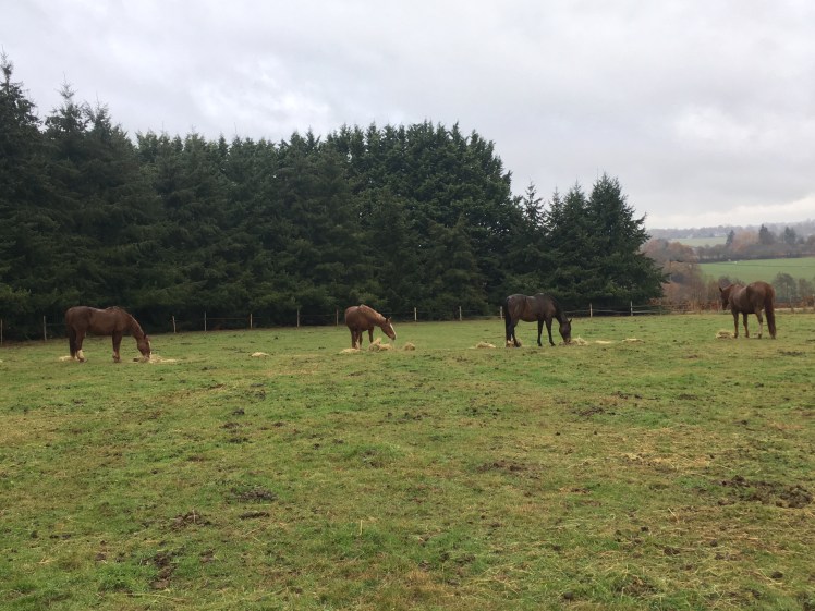 177E1F12-CD32-42EB-8229-EF09D859DB1B