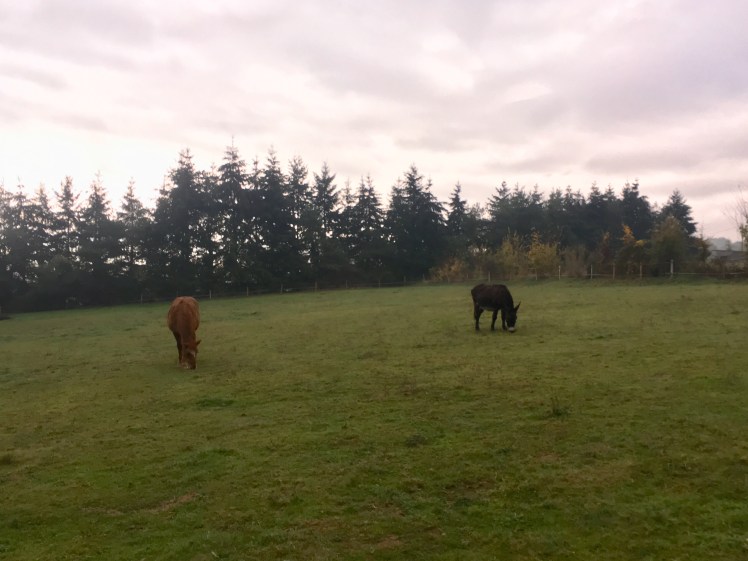 2DB78121-34BB-4A7E-8264-F3838AFBC440