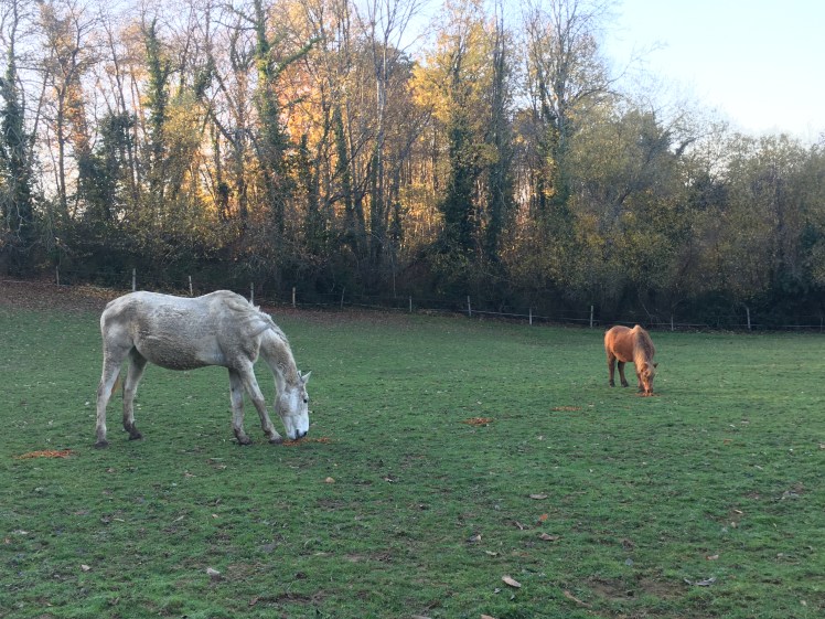 602021E3-A9B3-475B-91D0-733E9AE52B28