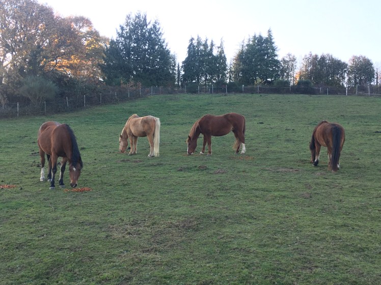 6A37E68F-716F-4E88-A7CC-06BDB9E27577