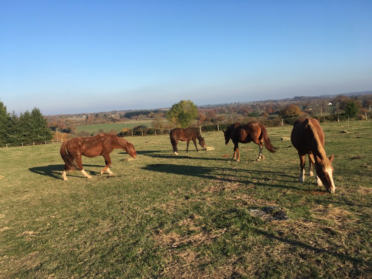 70F6CCCD-D2D6-486A-B25F-D9F5C7D19717