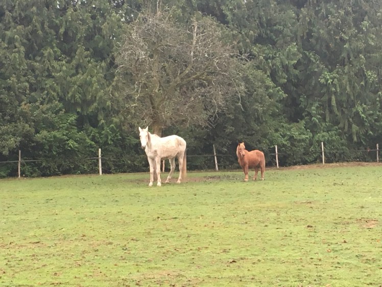 83C0A5E5-DB1A-4599-B1AC-A6A86A81AA5F