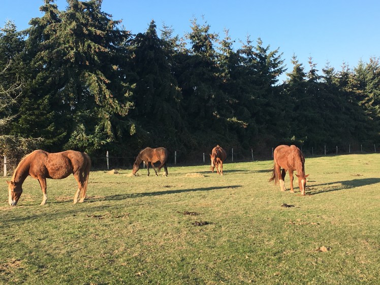 CF781D13-2921-4831-BD1B-4217854DA184