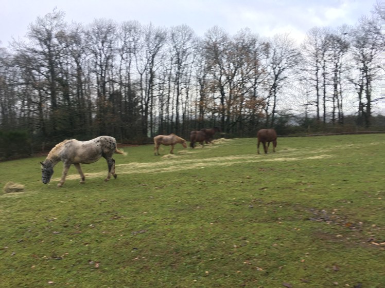 0CE014AA-AF80-4603-B951-B778B7168BA0