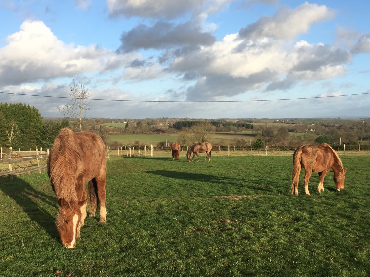 1A2075F7-A70B-4429-9522-5A1DBFC9A762