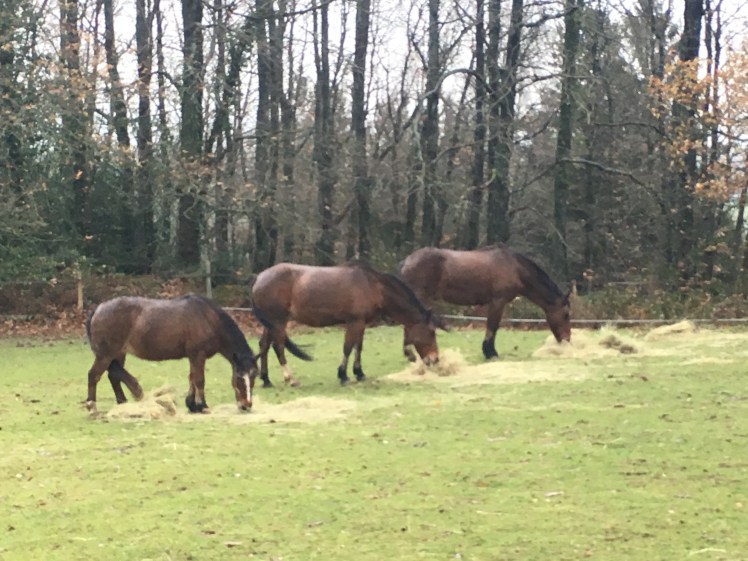 256A1F7F-8D41-4ADB-8165-644A3D208833