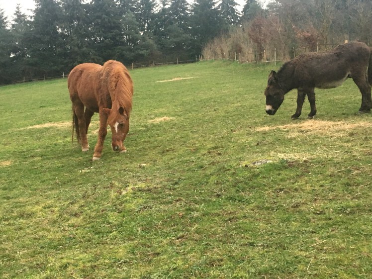 2C94CE5A-7C89-4497-AE6B-F0D56D129749