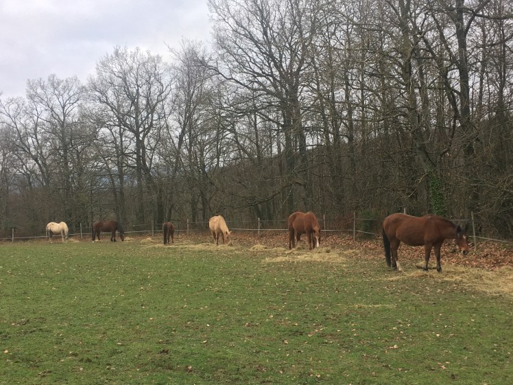 3D43B7ED-7976-481F-8E1F-2D0FF169B43F