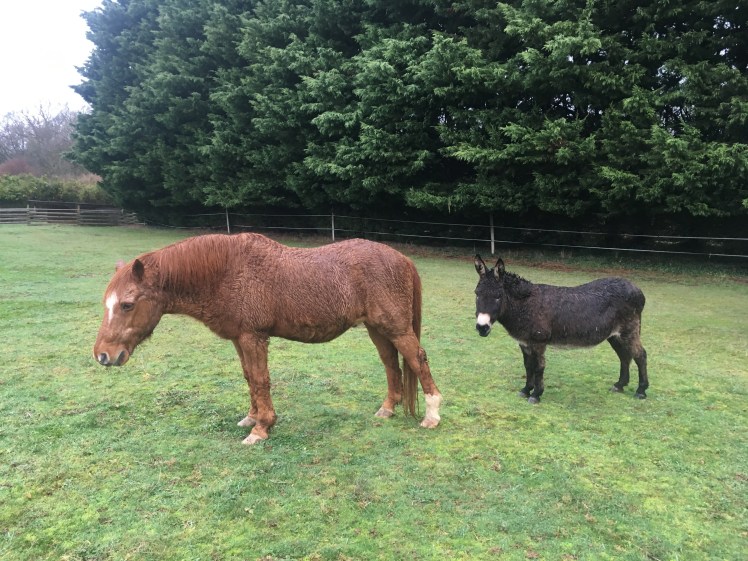 4845E8B6-99F8-4C14-99B3-6861DE86F510