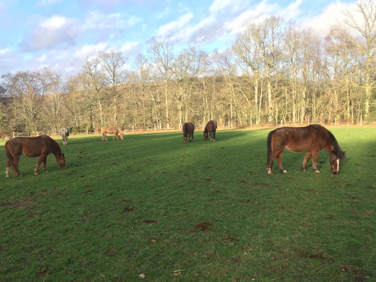 574B1701-3E4F-4D7C-9E1D-D3344BD026DB