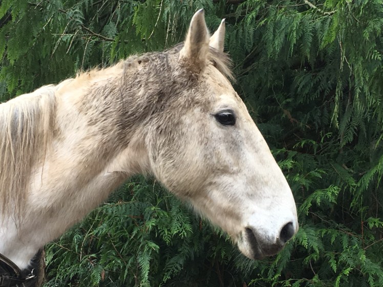 5FE883F0-7364-40CB-B0A6-AD89931C46D7