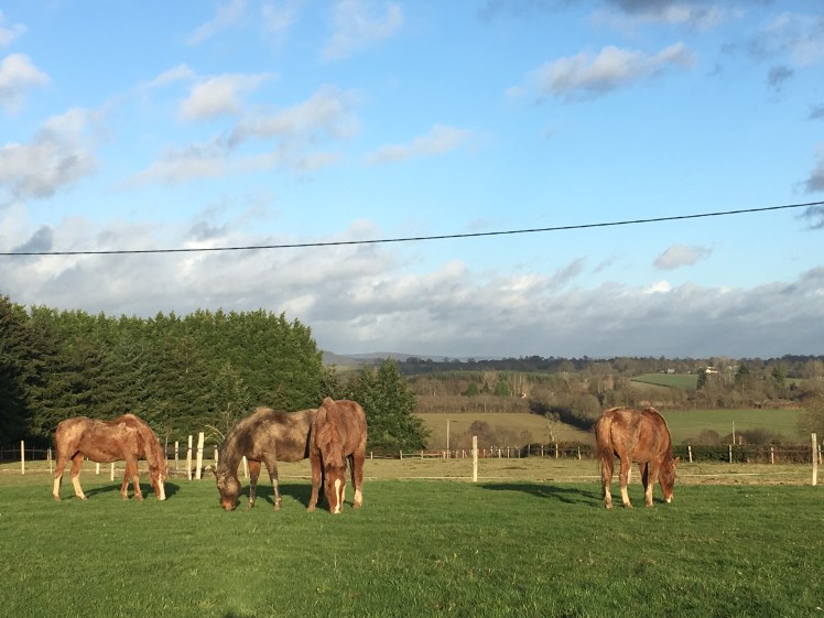 603416B7-B4F9-40BF-AE64-444E5D83D065