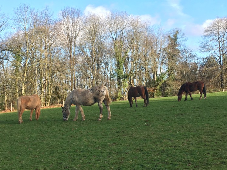 7089EFAD-3081-45B9-BD6D-41DFC6DEF380