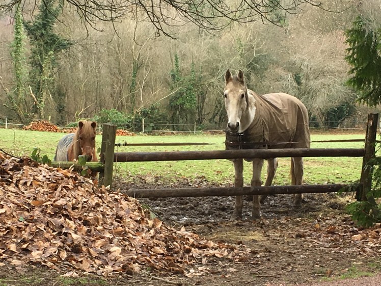 79A8F2C3-83BF-4B66-B555-928F9685B62F